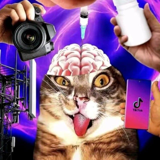 fdsafsdffdsafsdffdsafsdffdsafsdf